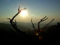 41 sonnenaufgang